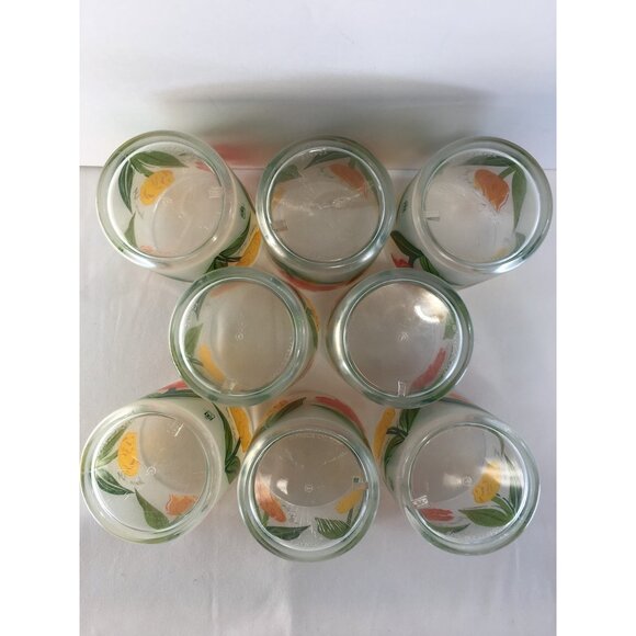 Vtg Precisioncraft Drinking Glasses Frosted Acrylic Parrot Tulip Design Set of 8 - Picture 9 of 14